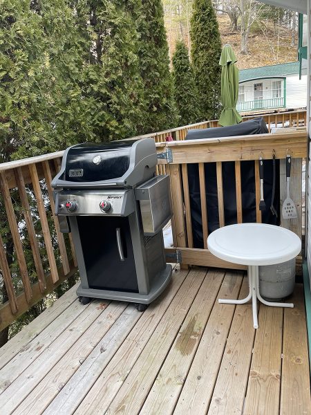 Beech Loft Studio Portage Point Resort Deck And Grill